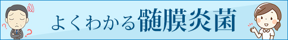 よくわかる髄膜炎菌